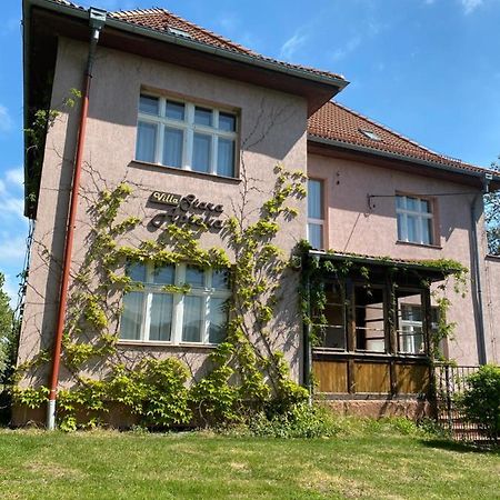 Srebrna Góra Villa Stara Apteka מראה חיצוני תמונה